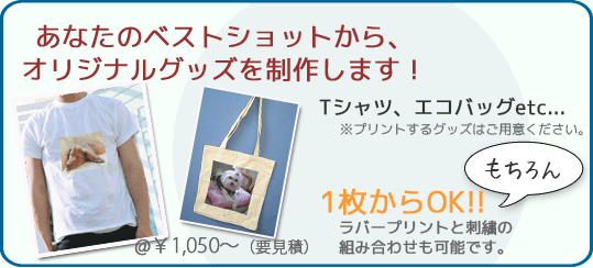 rubber_catch01