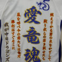 送料無料 中日ドラゴンズ 和田一浩選手ユニフォーム 2012年度