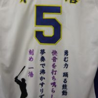 送料無料 中日ドラゴンズ 和田一浩選手ユニフォーム 2012年度