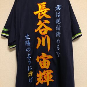 刺繍専門店 真野ししゅう アパレル刺繍 プロ野球応援ユニフォーム チームオーダー 刺繍専門店 真野ししゅう アパレル刺繍 プロ野球応援ユニフォーム チームオーダー