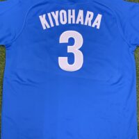 埼玉西武ライオンズ – 刺繍専門店 真野ししゅう 埼玉西武ライオンズ – 刺繍専門店 真野ししゅう