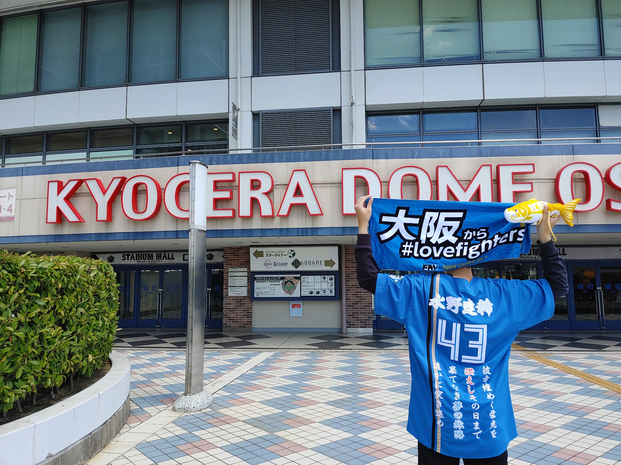 北海道日本ハムファイターズのビジターユニフォームへの背ネーム